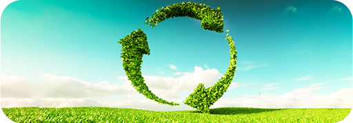 可降解可循环生物基一体化