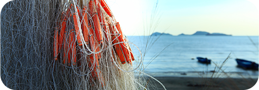 高效、可持续的“绿色方案”